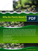 Fertilizer Plant Disease