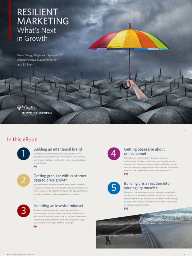 Resilient Marketing Ebook F Pdf Marketing Analytics