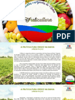 Commodities Agrícolas Da Bahia - Fruticultura