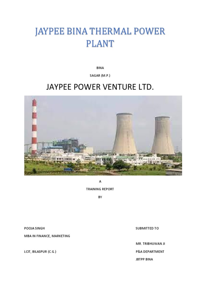 Jaypee Bina Thermal Power Plant PDF Equity (Finance) Statement