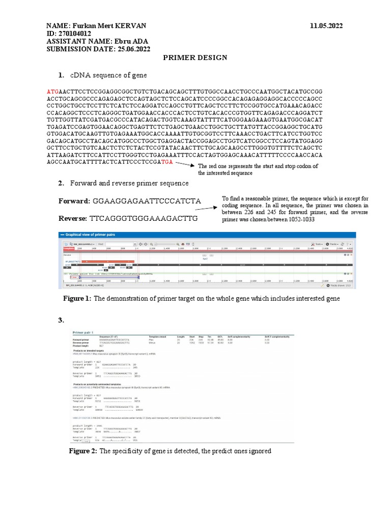 Primer Design PDF Primer (Molecular Biology) Gene