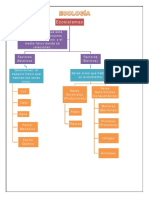 9 Cuadro Ecologia