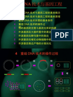 重组DNA技术与基因工程（4 5）