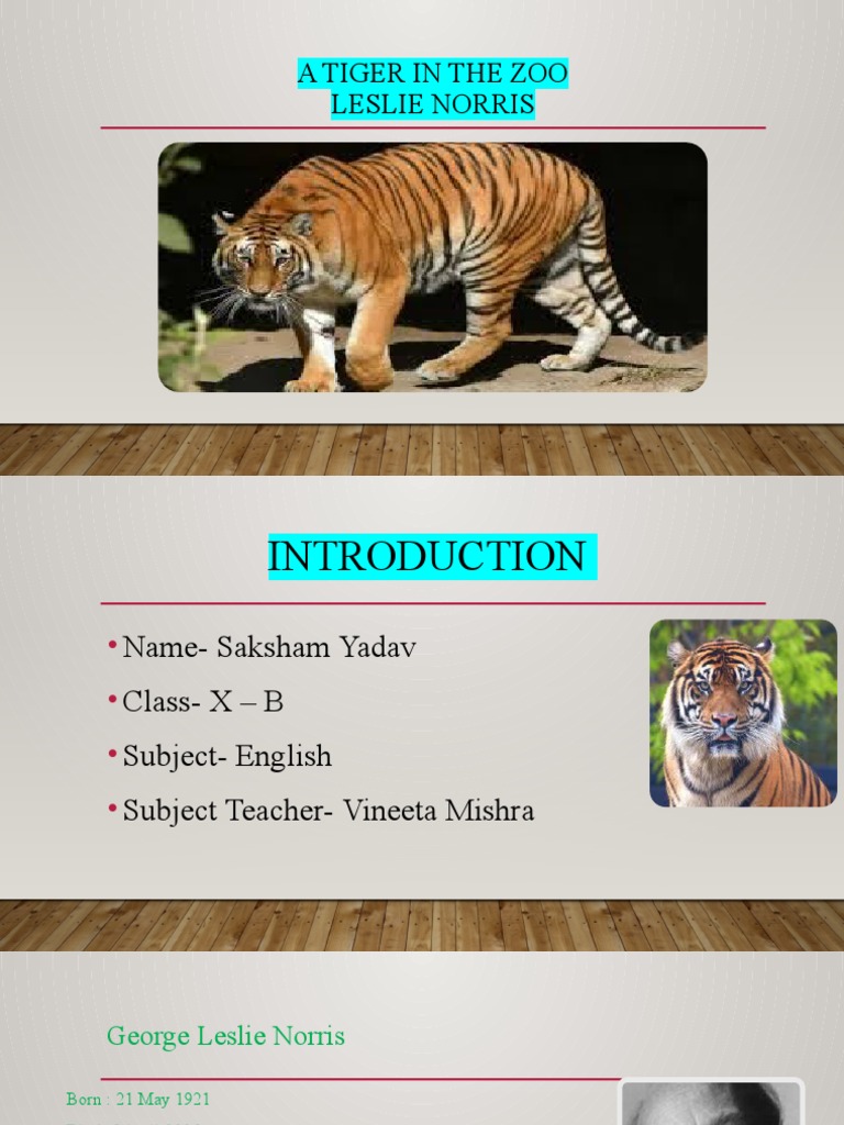 A Tiger in The Zoo Leslie Norris PDF Tiger