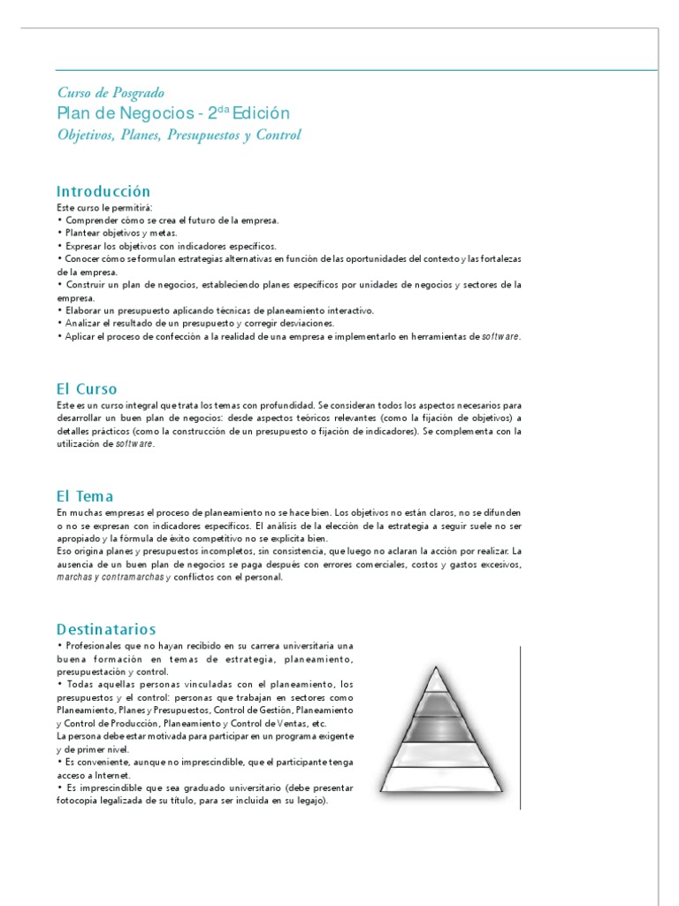 2001 Plan de Negocios | PDF | Planificación | Presupuesto
