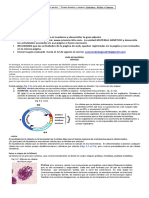 2° Medio Biología Guia 8