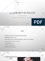 Tetrology of Fallot 2