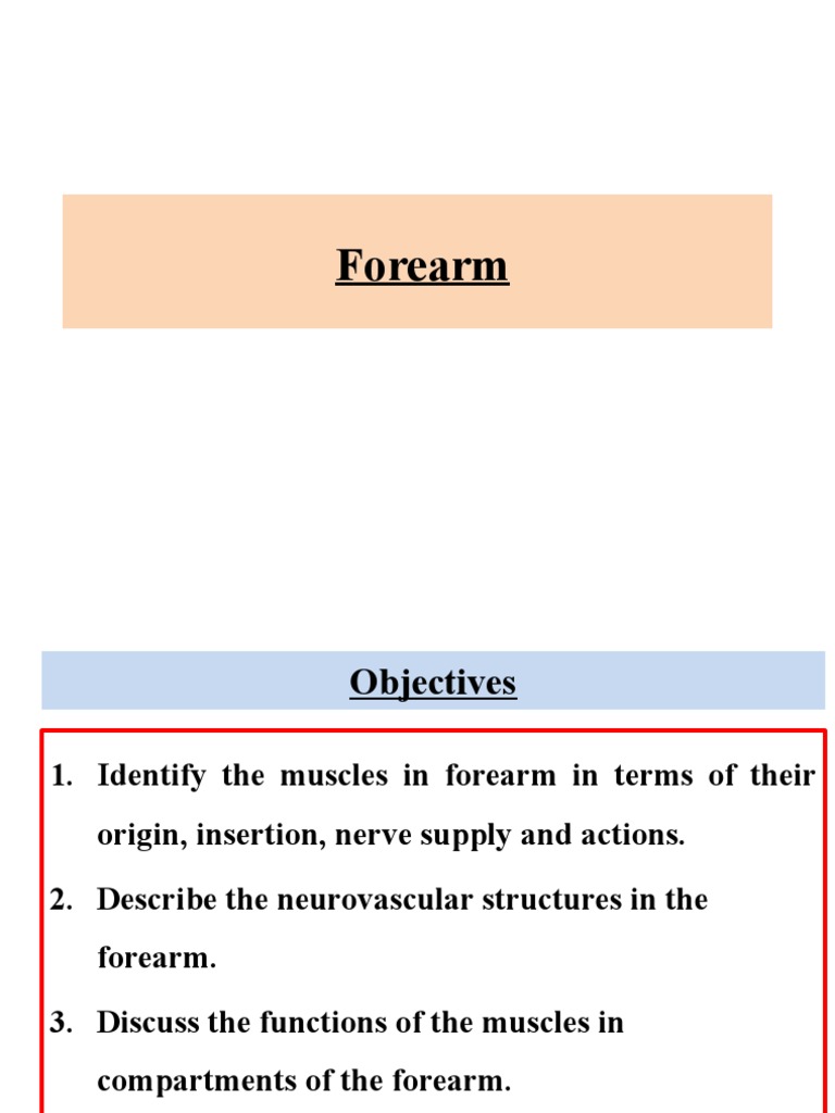 Forearm Muscles and Neurovascular Anatomy | PDF | Anatomical Terms Of ...