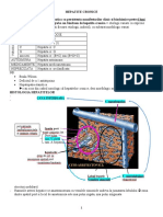 Hepatite Cronice