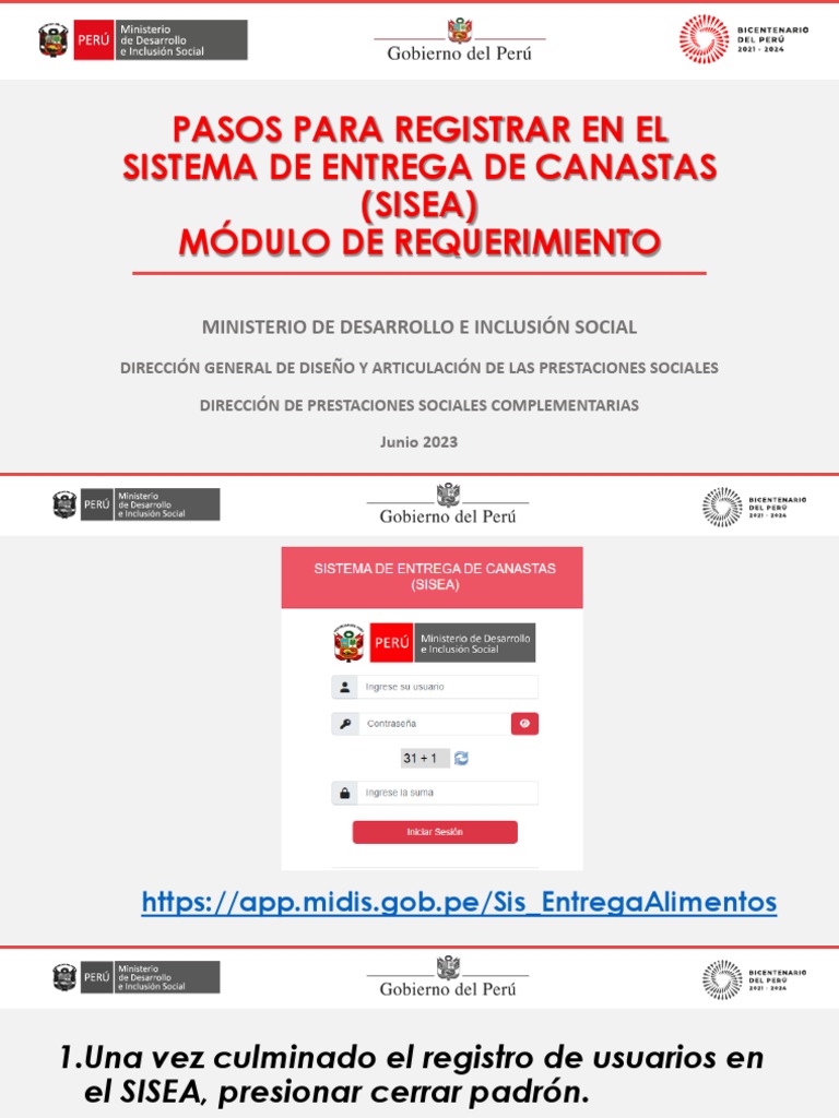 Registro en SISEA: Guía de Pasos | PDF | Informática | Software