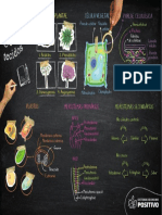 Spe Er 2023 em XX v1 Lousa Bio PF Dig f02 c01