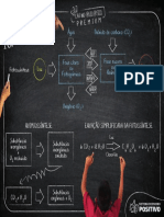 Spe NV 2022 em XX v2 Lousa Bio PF Dig f02 c06