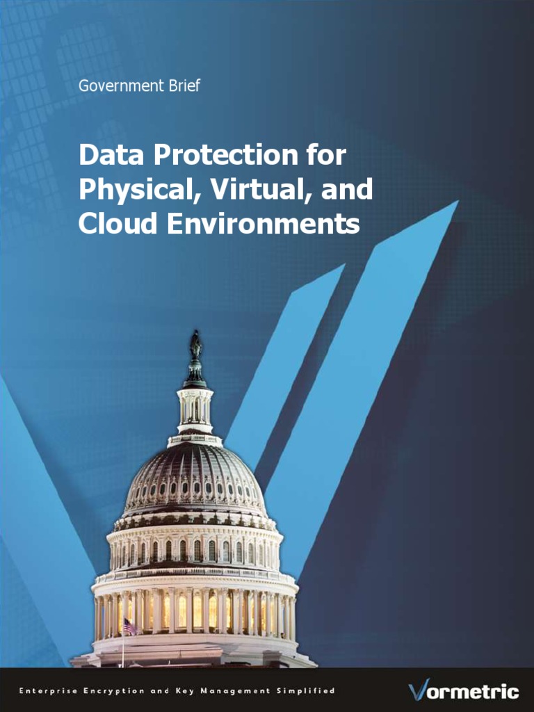 Data Protection Strategies for Organizations | PDF | Security ...