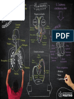 Spe Er 2023 em XX v3 Lousa Bio PF Dig f01 c10