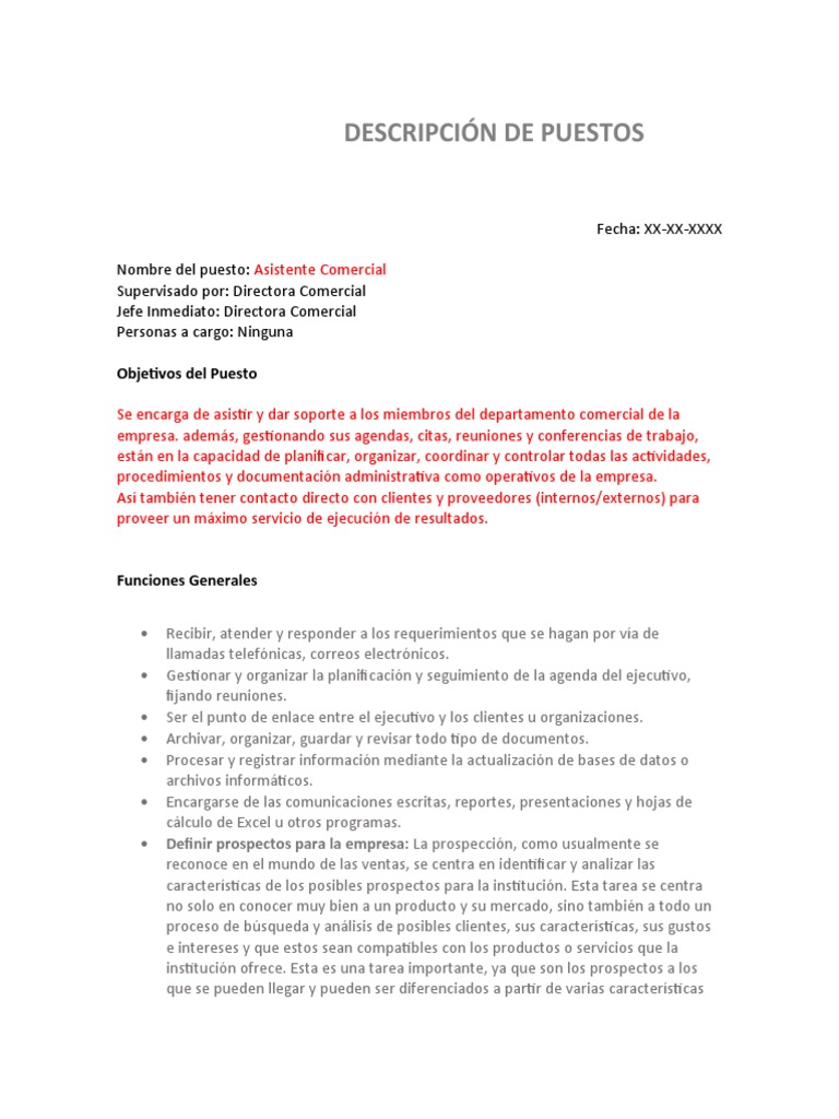 Formato Descripción de Puestos | PDF | Planificación | Servicio al Cliente