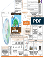 Ecology Mindmaps