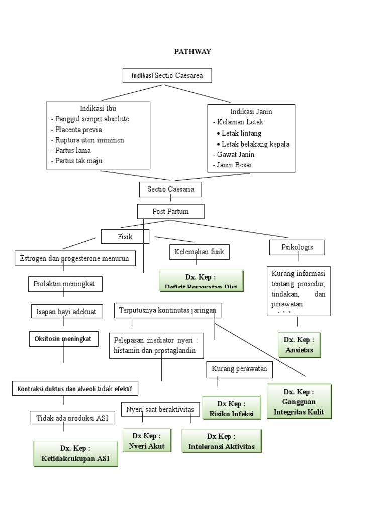 PATHWAY - Letak Lintang | PDF