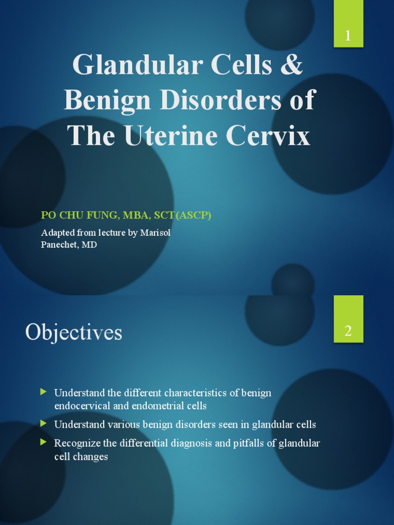 Glandular Cells & Benign Disorders The Uterine Cervix PDF Uterus