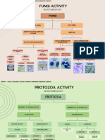 Group 6 Fungi and Protozoa Activity 1