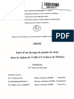 1.7.2-Suivi d’un elevage de poulet de chair dans la region de Tablat ( Medea ) 