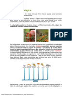 10 - Evolução Biológica Resumo Top