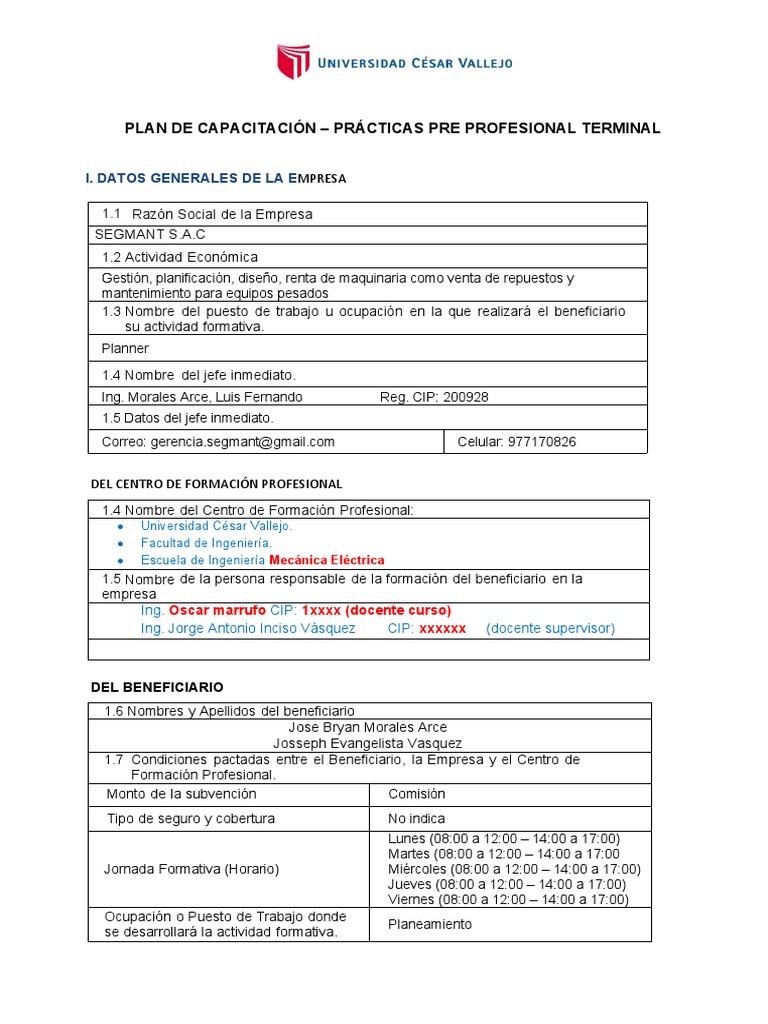 Plan de Capacitación para Practicantes en SEGMANT | PDF | Diseño | Valores
