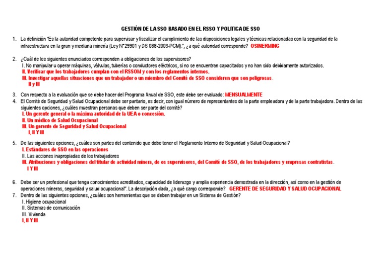 Gestión de SSO y RSSO en Minería | PDF