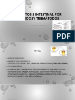 Parasitosis Intestinal Por Cestodos y Trematodos