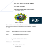 Efecto de Biosida de Amacho para El Control de Pulgon en Cultivo de Repollo Curpahuasi - Grau