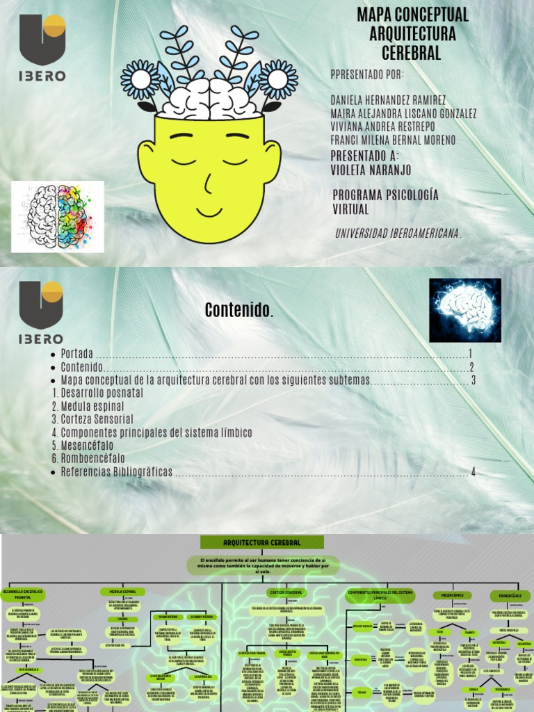 Mapa de la Arquitectura Cerebral | PDF | Cerebro | Corteza cerebral