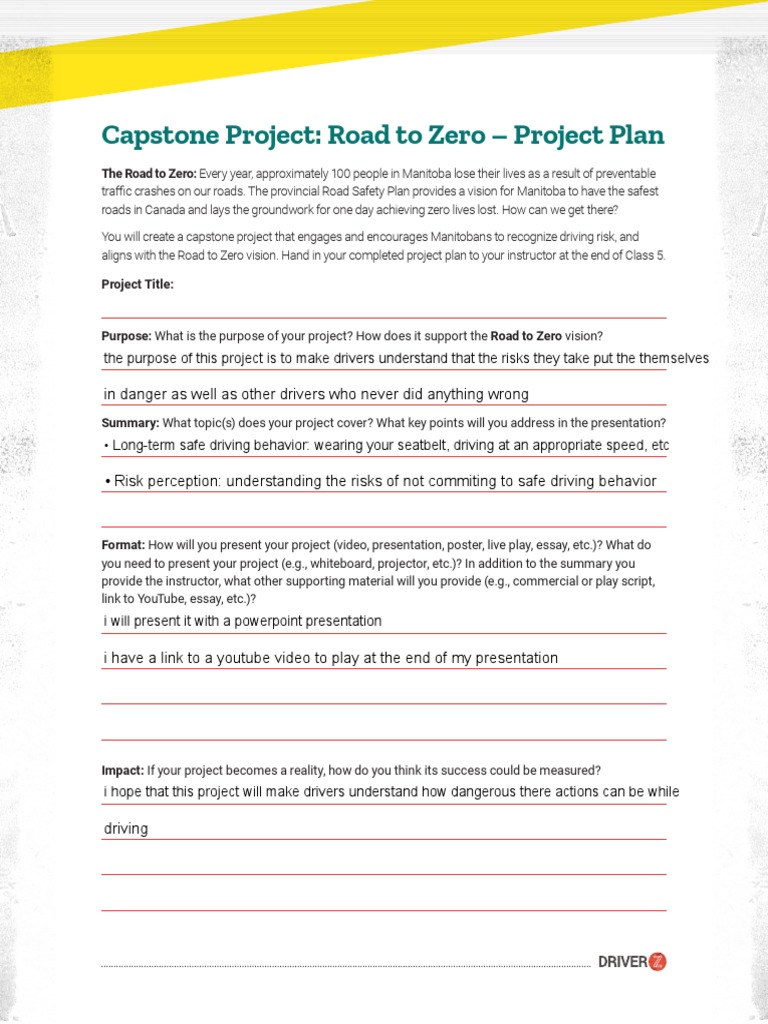 Capstone Project: Road to Zero Plan | PDF