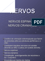 Neuro Cap. 4 (Nervos)