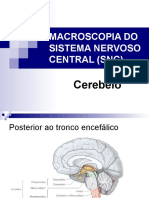 Neuro Cap.3.2 (Cerebelo)