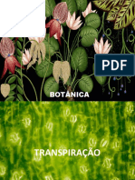 Botânica - Transpiração Vegetal I