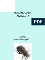 Práctica de Láminas-2