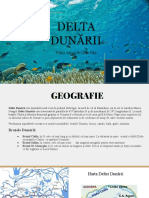 Geografie - Delta Dunării