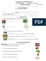 Examen de Ciencias Naturales Tercer Grado