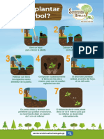 6 - Unifoliar Cómo Plantar Un Árbol