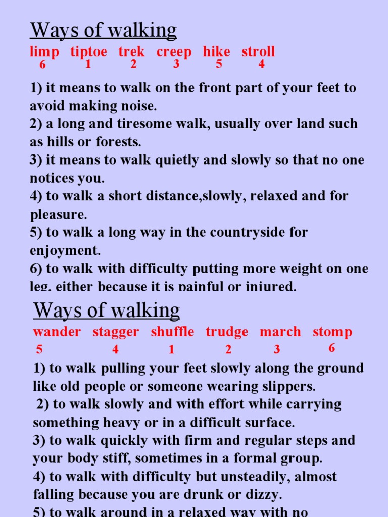 Ways of Walking PDF