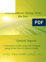 UNIT Photosynthesis