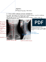 Práctica RX Columna Y Craneo