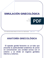 Simulacion de Tumores Ginecologicos