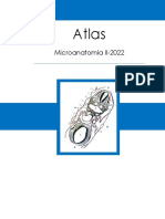 Atlas Microanatomía II 2022