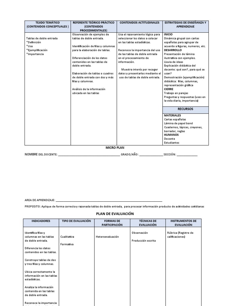 Mi Ejemplo de Micro Plan Primaria | PDF | Evaluación | Ciencia cognitiva