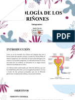 Fisiología de Los Riñones