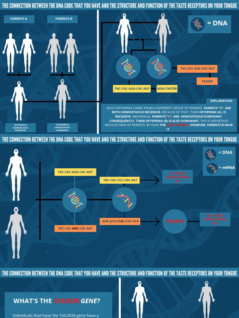 The Connection Between The DNA Code That You Have and The Structure and