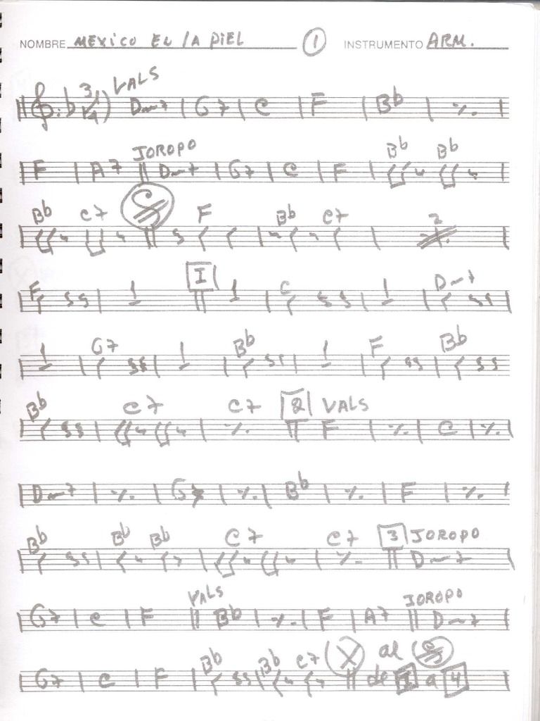 Mexico en La Piel PDF