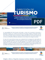Programa Emergente Turismo