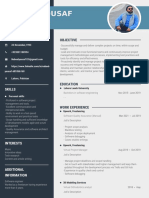 Project Manager CV