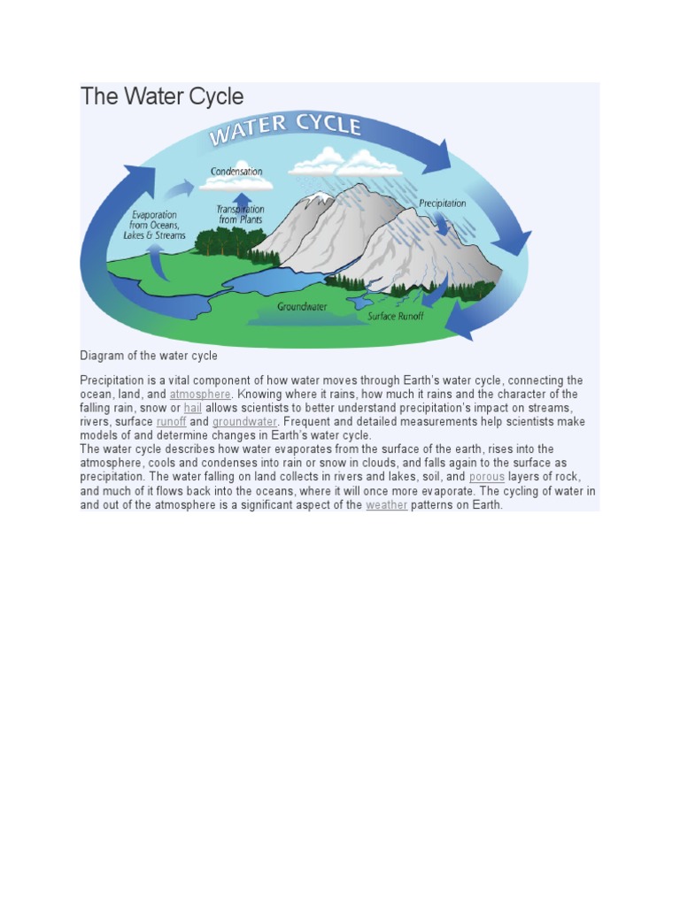 Water Cycle | PDF